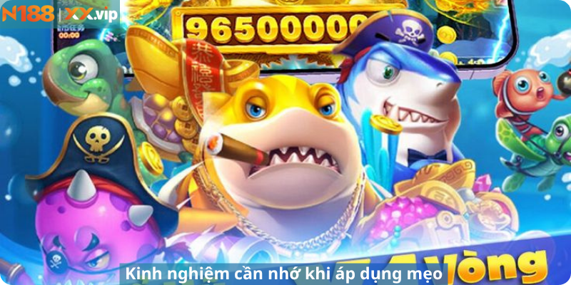 Kinh nghiệm cần nhớ khi áp dụng mẹo