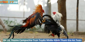 Đá Gà Thomo Campuchia Trực Tuyến An Toàn