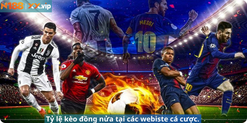Tỷ lệ kèo đồng nửa tại các webiste cá cược.