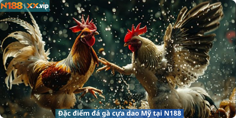 Đặc điểm đá gà cựa dao Mỹ tại N188