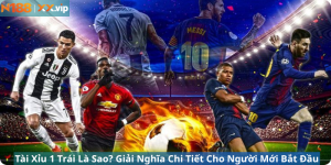 Tài Xỉu 1 Trái Là Sao? Giải Nghĩa Chi Tiết Cho Người Mới Bắt Đầu